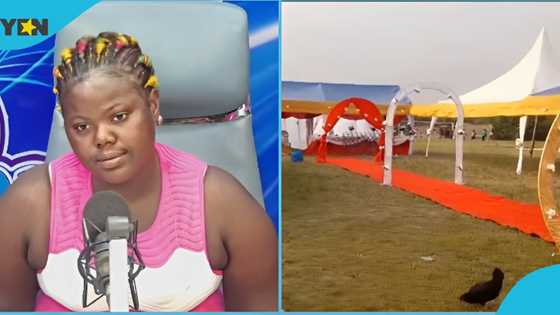Auntie Naa: Ghanaian lady who took a loan to fund her wedding regrets as the groom fails to show up, video