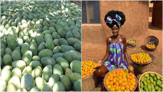 Stunning photo of Ghanaian lady posing with mangoes causes stir online