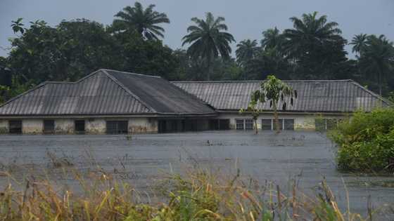 Climate change fuelled rains behind deadly Nigeria floods: study