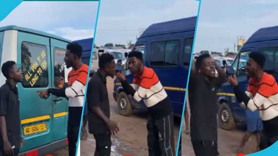 Trotro mate vows to take girlfriend to juju after denying him during loyalty test: "We have dated for eight years."