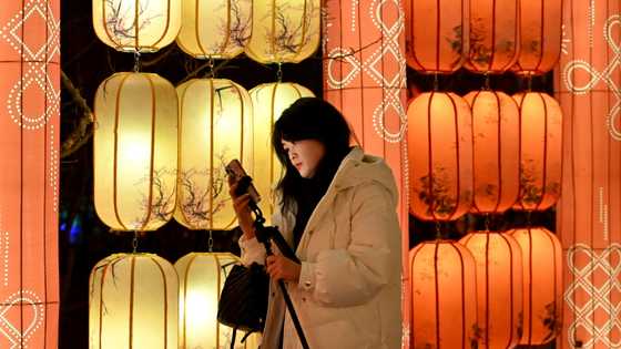 Apple loses top spot in China smartphone sales to local rivals