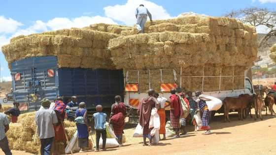 At 'African COP', continent's climate needs may go unmet