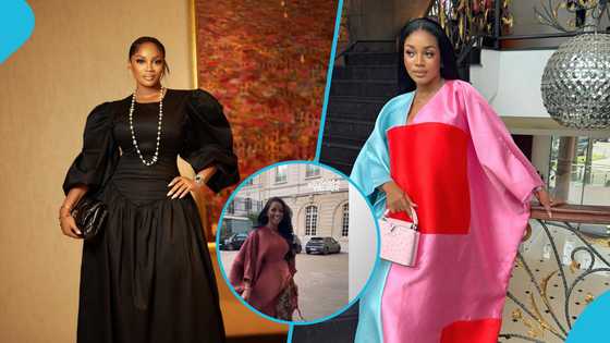 Serwaa Amihere's sister rocks a stylish outfit to give a speech at the Women of Valour conference in Paris