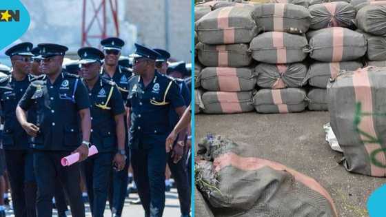 Police reject GH¢69,000 bribe in major drug clampdown: "Service with integrity"
