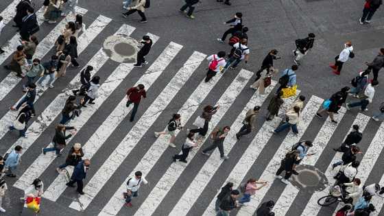 Tokyo tanks as Asian markets track Wall St down on recession fears