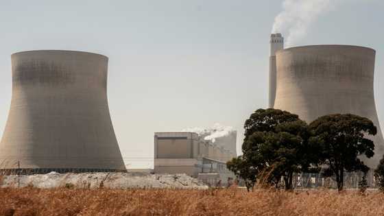 S.Africa will need $500 bn to reach net zero: World Bank