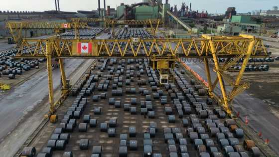 US tariffs corrode steelmaker ArcelorMittal's profitability