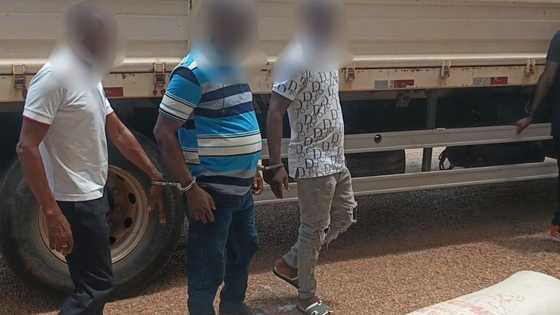 Truck carrying smuggled cocoa from Côte d’Ivoire seized in Bono Region