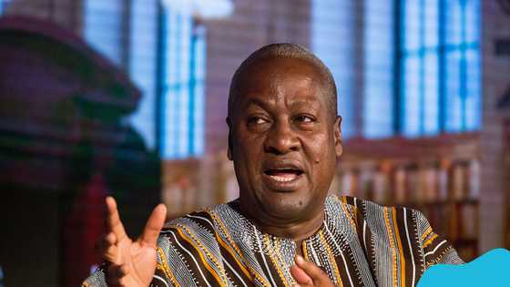 GH lady shows support for John Mahama, rocks tight NDC outfit in video