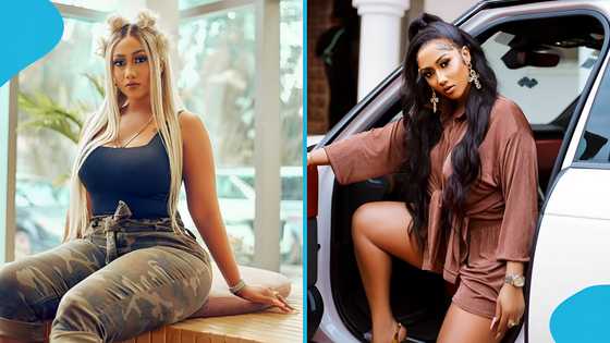 Hajia4Reall set to be released today after 1-year jail term, Afia Schwarzenegger claims