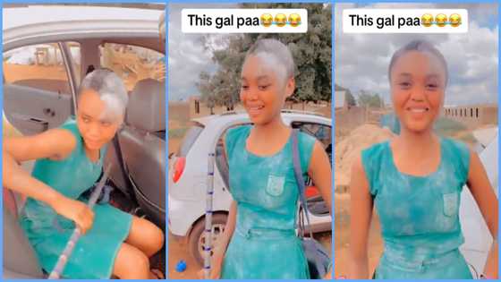 Ghanaian girl gets nice welcome after WASSCE, tells relative the exam was not easy, video evokes laughter
