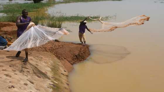Jihadist fears cast shadow on Niger-Benin border