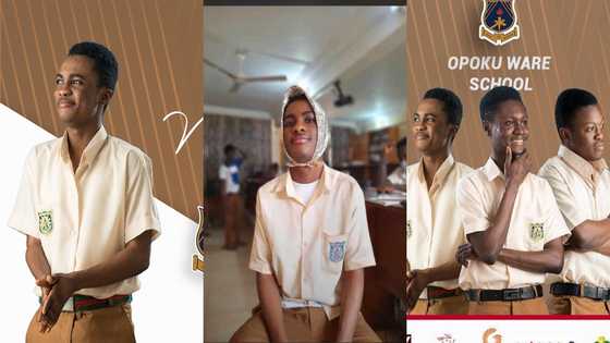WASSCE results of Gakpetor's rival at NSMQ '20 Nobel Asamoah pops up