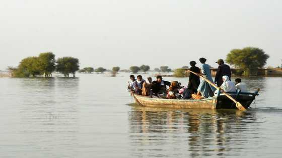 Pakistan risks 'extraordinary misery' without flood recovery help: UN