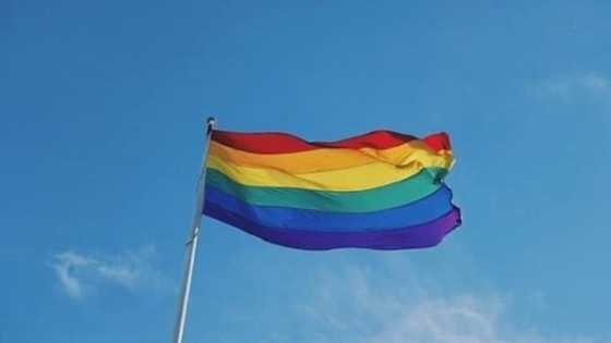 Study finds that 1 in 3 gay men are left-handed; grew up with a lot of brothers