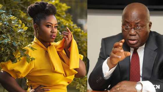 Lydia Forson says she doesn’t believe Ghana "we want can be achieved in 4yrs"; It’s unrealistic