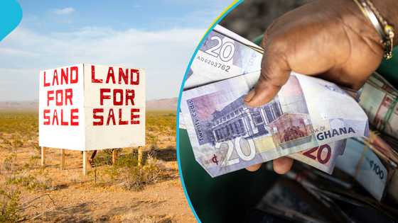 Tema Development Company staff caught allegedly selling state land to wife for GH¢2k