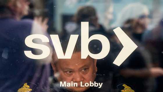 Two weeks of banking turbulence