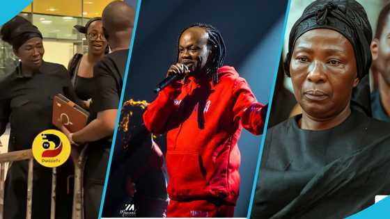 Akosua Serwaa reportedly flies back to Germany three days after arrival in Ghana, details stir debate