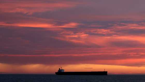 Ukraine says 13 million tonnes exported through Black Sea corridor