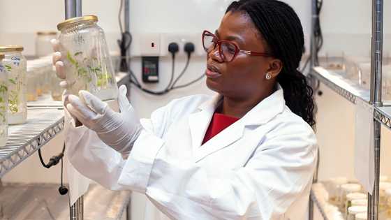 University of Ghana Lecturer wins UNESCO award for young women scientists
