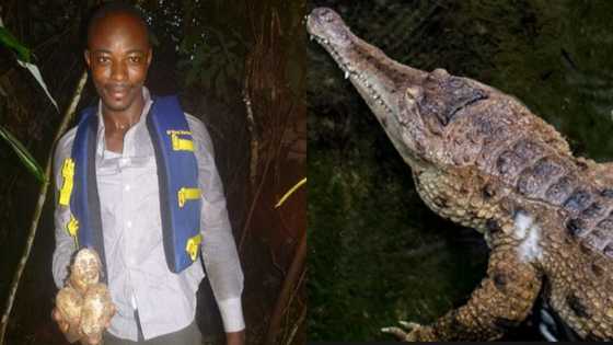 Emmanuel Amoah: Brave Ghanaian man wins $50k prize for protecting endangered crocodile