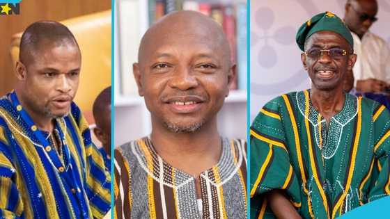 NDC flagbearer race: Hohoe MP clashes with Ras Mubarak over Asiedu Nketia's thank-you tour