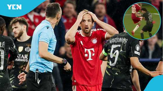 Why Bayern were denied penalty after Neves' handball in Champions League match