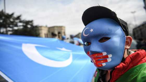 Forced labour, possible 'enslavement' in China's Xinjiang: UN expert