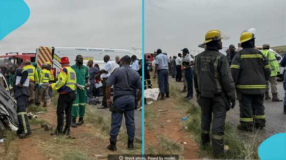 Tragic highway accident claims 7 lives on Mombasa-Nairobi route, renewing road safety concerns