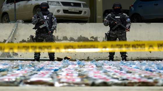 Ecuador terrorized by Mexican-led drug trafficking explosion