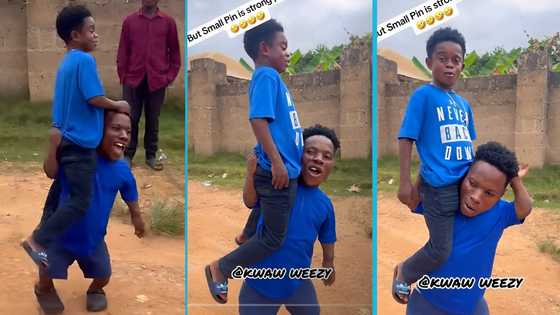 Small Pin carries grown man on his shoulders to display his strength, video sparks laughter