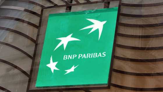 Shares in French bank BNP Paribas plummet after US verdict