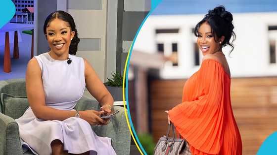 Serwaa Amihere's 2019 tweet asking people why they send their bareness to their partners surfaces