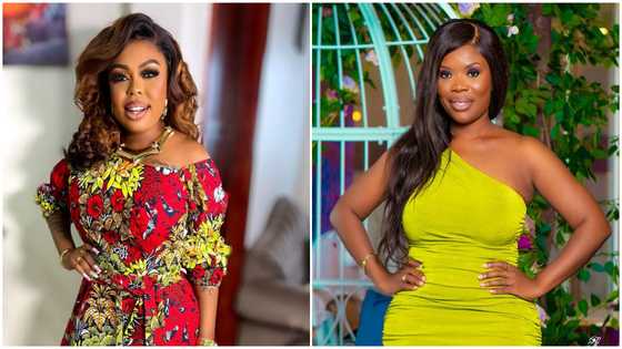 Useless and Barren: Afia Schwarzenegger jabs Delay, calls Chairman Wontumi her ex in video