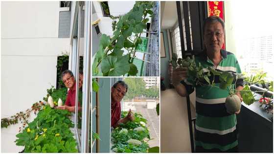 Man shows off different fruits he harvested from growing crops the air