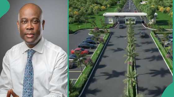 Wigwe University excites Nigerians as video shows world class school built by late Access Bank CEO