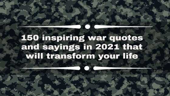 150 inspiring war quotes and sayings in 2021 that will transform your life