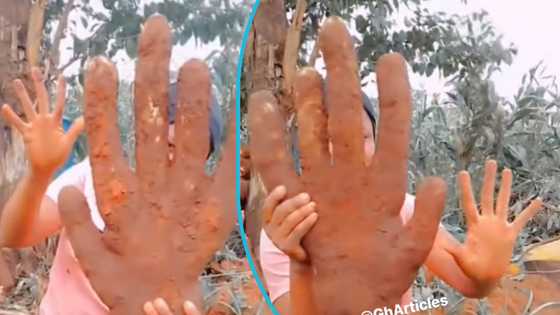 Ghanaian lady exhibits tuber of yam with 5 fingers, video with 1,000 views wows many