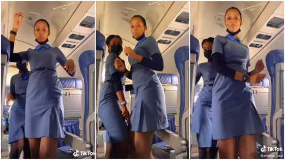 Beautiful female flight attendants dance cutely with their waists in aeroplane, their video stirs reactions