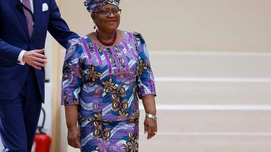 Tariff war could cut US-China goods trade by 80 percent: WTO chief