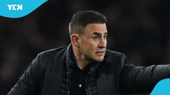 Fabio Cannavaro appointed head coach of 2026 World Cup-bound team