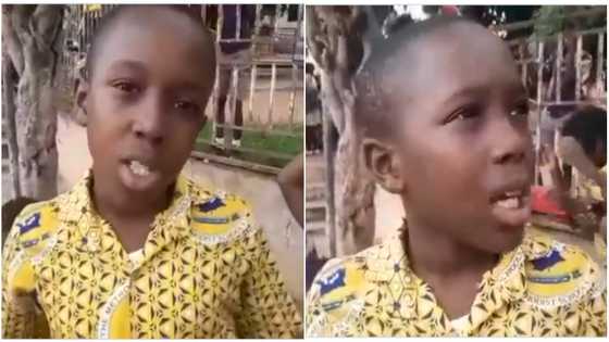 "President of Ghana": Video of basic student prefect aspirant speaking eloquently impresses peeps