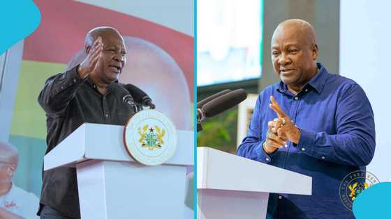 "We should pass a law to make intimacy for jobs punishable": Mahama proposes