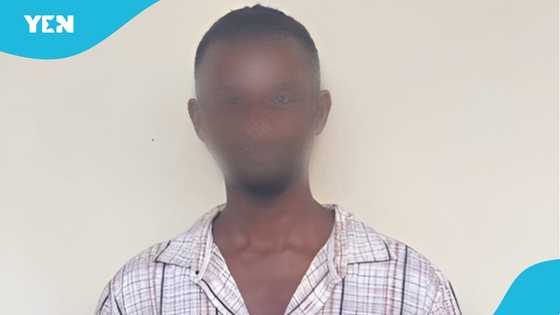 Police arrest controversial Ghanaian TikToker over provocative online video