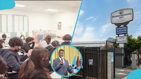 Former education minister flaunts 3 plush New Designs Charter Schools in the US