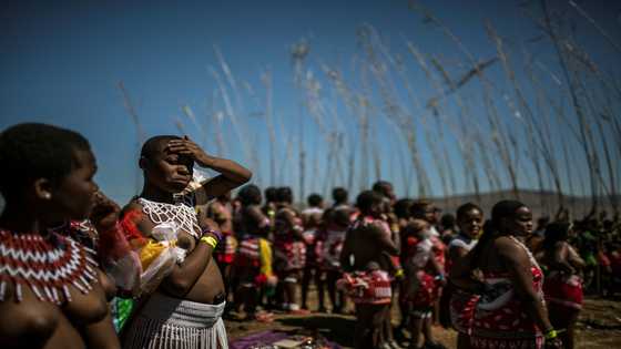 S.African virgins to dance for new Zulu king amid succession row