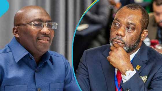 "He ignored all of them": NAPO claims NPP gurus tried to block his selection as Bawumia's running mate