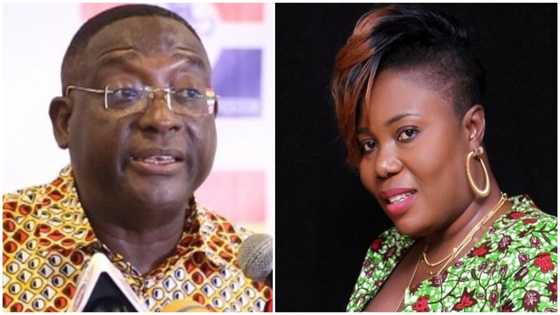 IMF Bail Out: NPP Responds To Rachel Appoh, Others' Request For An Apology To John Mahama