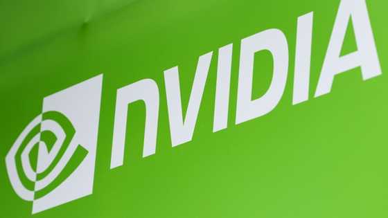Nvidia says no 'backdoors' in chips as China questions security